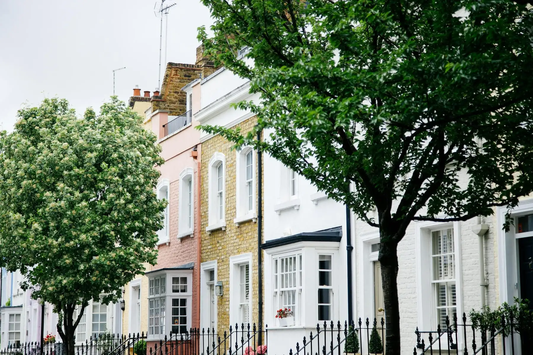 Chelsea townhouses behind street trees